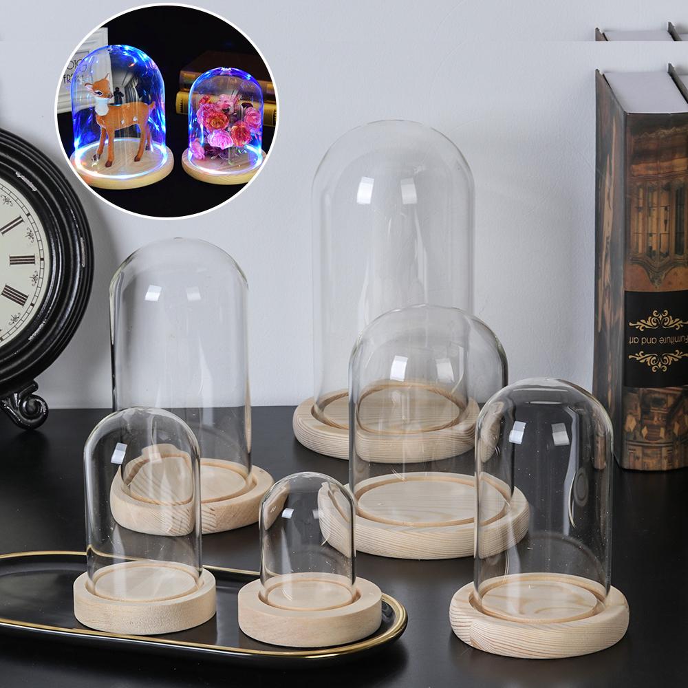 Vase Decor - Vaso in vetro per piante da