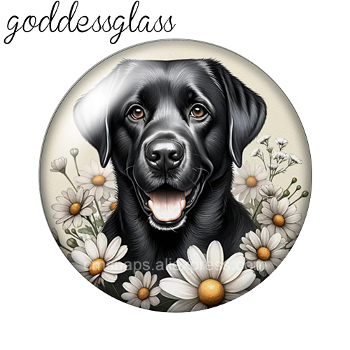 ‌ Cagnolini tra i fiori, pasto - Vase Decor recensione e prezzo
