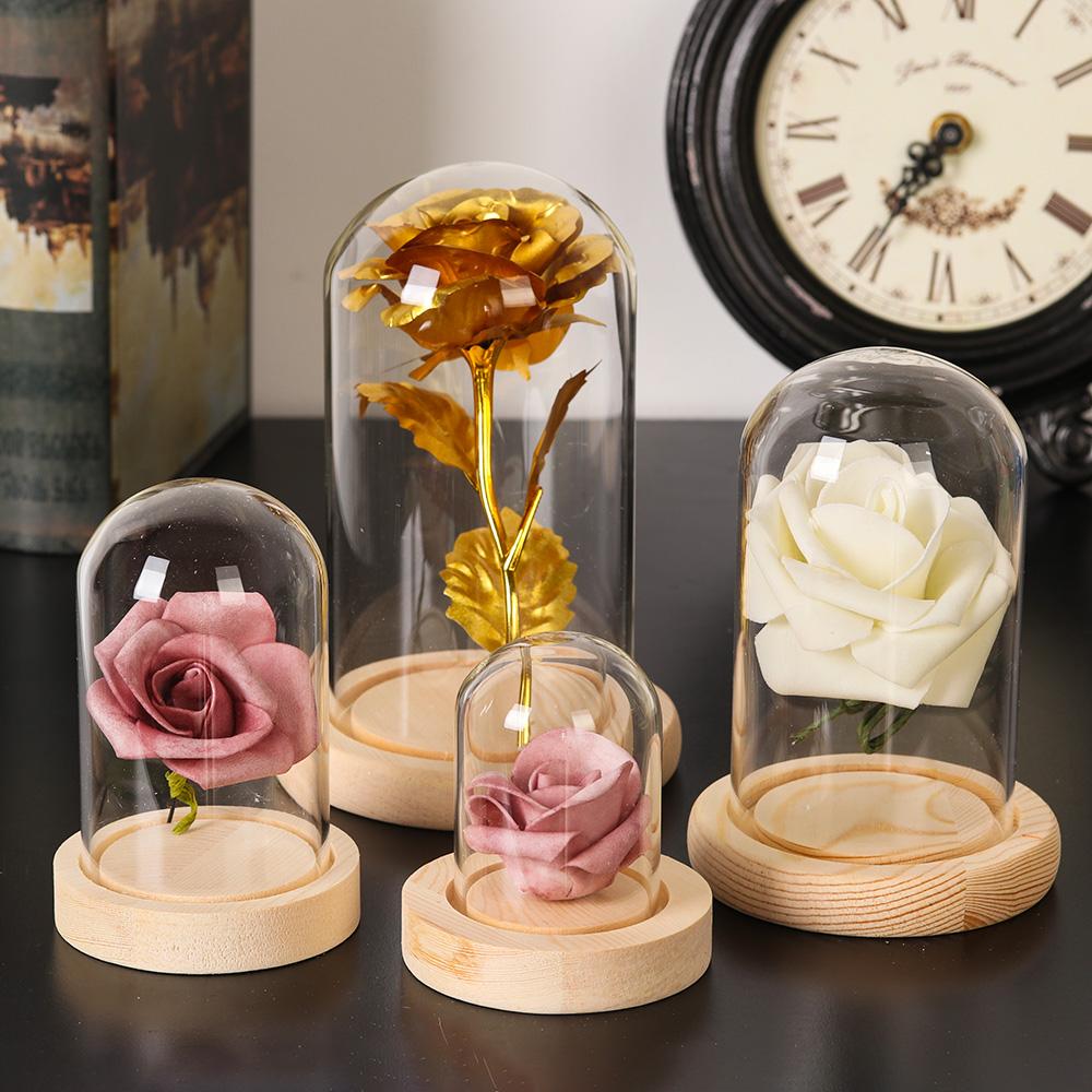 Vaso in vetro per piante da de - Vase Decor recensione e prezzo