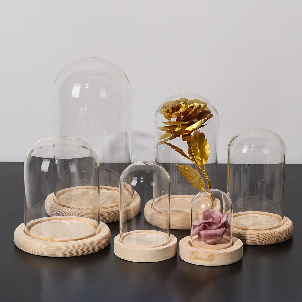 Vaso in vetro per piante da de - Vase Decor recensione e prezzo