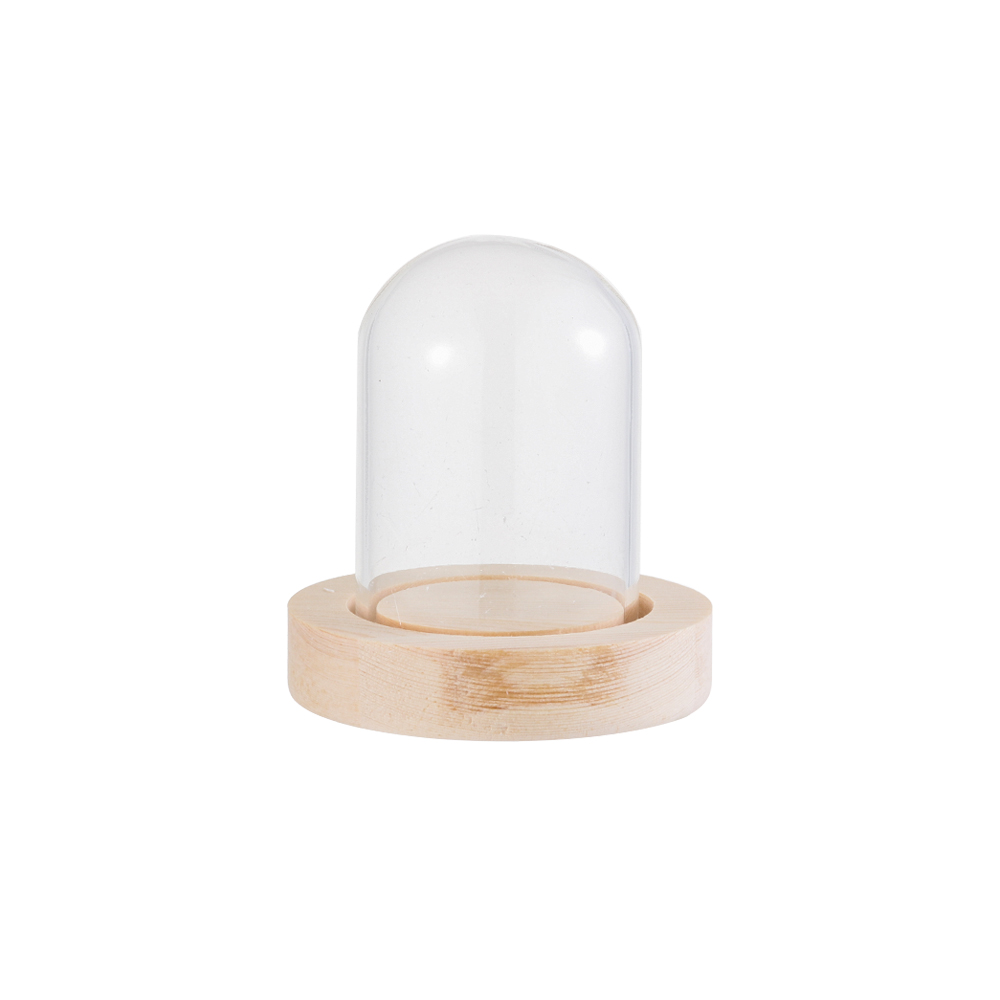 Luci decorative per la casa, t - Vase Decor recensione e prezzo