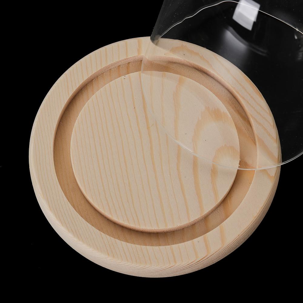 Luci decorative per la casa, t - Vase Decor recensione e prezzo